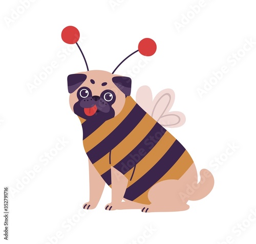 Cute dog pug breed in bee costume vector flat illustration. Funny domestic animal character wearing apparel sitting isolated on white background. Amusing playful pet showing tongue