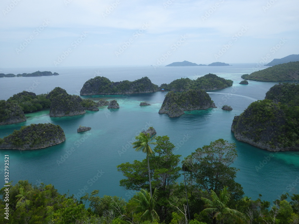 Fototapeta premium Raja Ampat