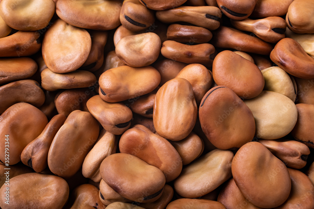 very close background with dried broad beans very close background with dried broad beans
