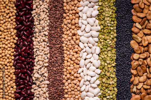 background seen from above with a large variety of dried legumes arranged in vertical rows