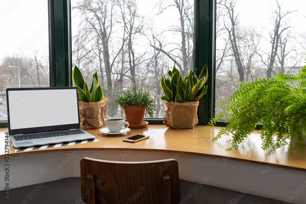 Natural light is the best lighting for a home office