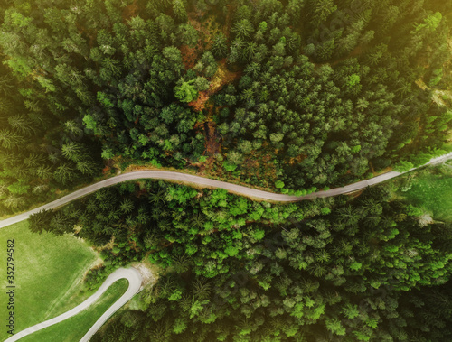 View of the green forest from above with road. Beautiful aerial picture. Abstract texture concept. Postcard of structure. Ecological scenery woodland and nature.