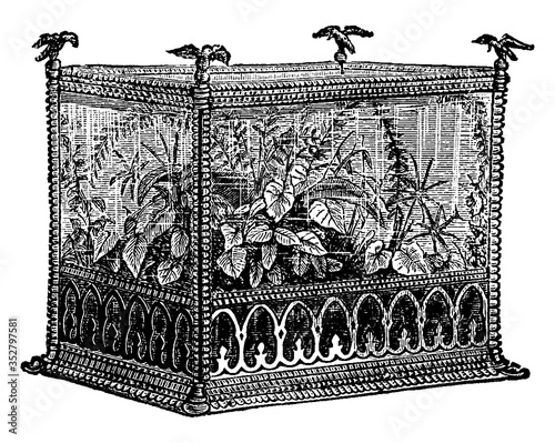 Wardian Case of Iron, vintage illustration.