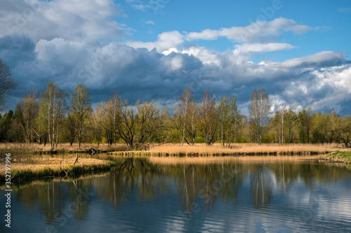 Russian spring landscape with reflections of trees in the lake