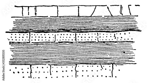 Plan of a Strike Fault, vintage illustration.