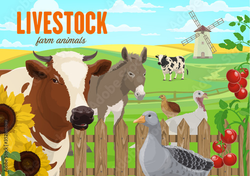 Farm animals, agriculture vector banner. Cattle and poultry farming. Cow and bull, donkey, goose, turkey and quail on ranch meadow. Rural background with animals, field and windmill