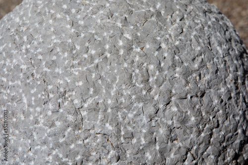 Картината върху платно Pierre taillée texture