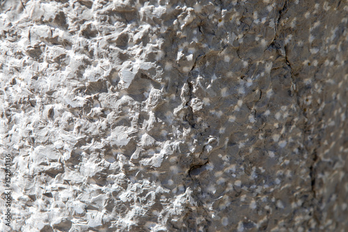 Foto Pierre taillée texture
