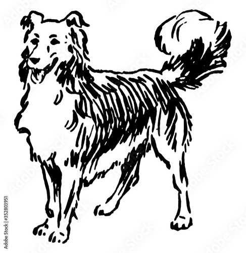 Dog, vintage illustration