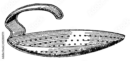 Skimmer, vintage illustration.