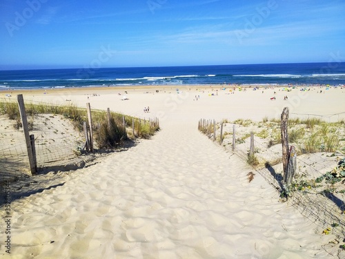Sendero a la playa en la Aquitania Francesa