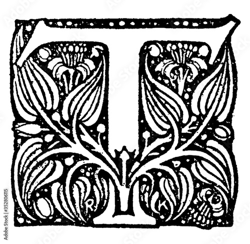 T, Floral , vintage illustration.