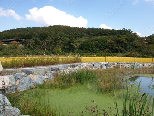 논밭
