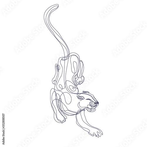 Abstract art wild cat silhouette hand drawn with continuous line. Simple tropical background drawing. Hand drawn vector character line art illustration