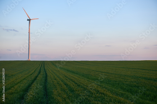 Wind turbine standing in a field of green grain