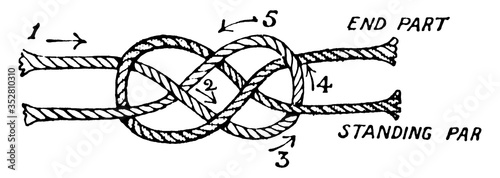 Knots/Carrick Bend Joining Two Ropes, vintage illustration