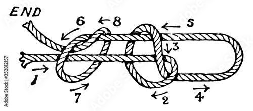 Knots/Flemish Loop, vintage illustration