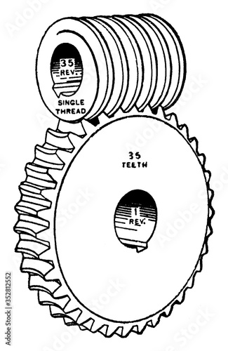 Worm Gear, vintage illustration