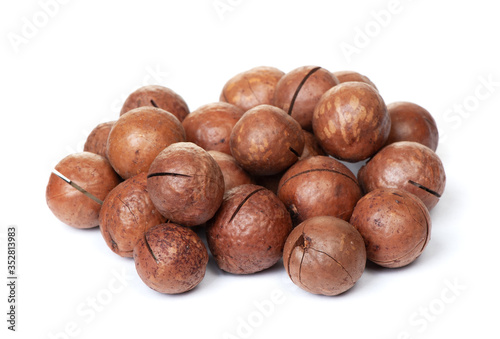 Heap of macadamia nut in shell