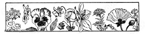 Flower divider, vintage illustration.