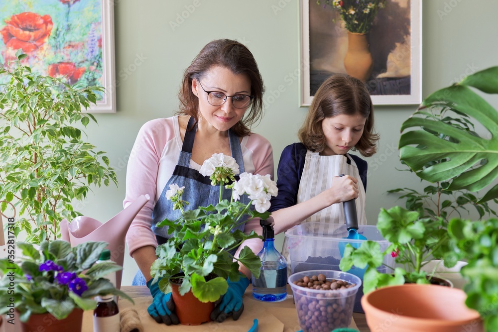 Mother and daughter child plant potted plants, flowers