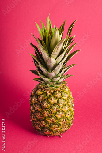 Fresh sweet pineapple on pink red background, angle view
