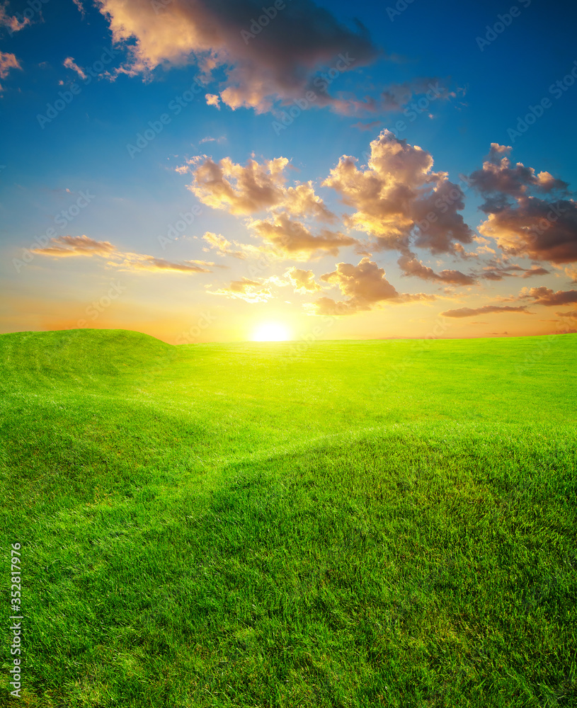 Green grass field on small hills, at sunset Green grass field on small hills, at sunset