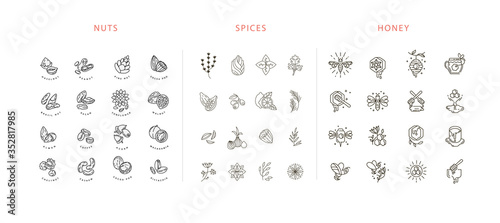 Vector icon and logo collection hot drinks, spices, nuts and honey . Editable outline stroke size. Line flat contour, thin and linear design. Simple icons. Sign, symbol