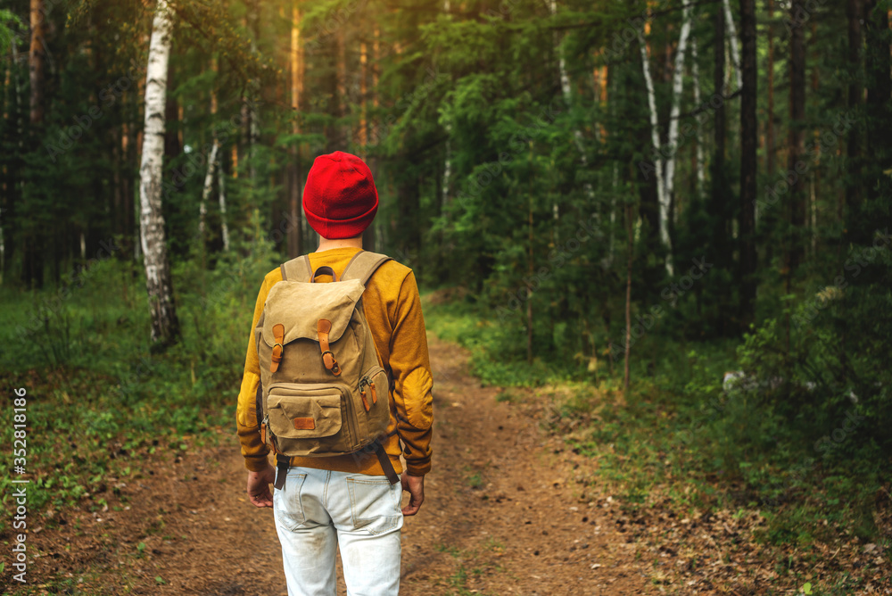 Tourist with a backpack is walking in the dark forest among the trees. Active trekking and unity with nature Tourist with a backpack is walking in the dark forest among the trees. Active trekking and unity with nature