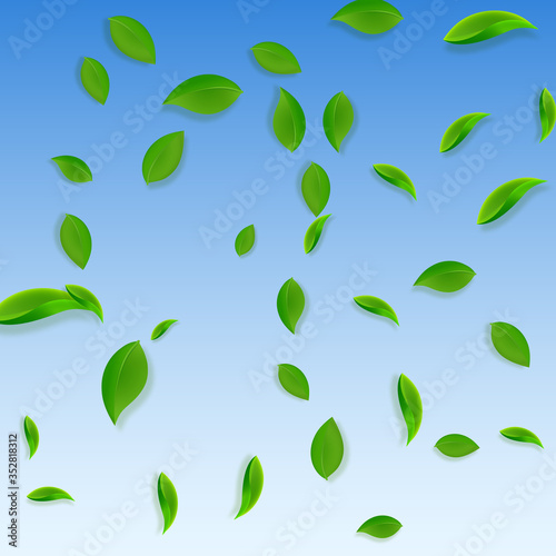 Wallpaper Mural Falling green leaves. Fresh tea chaotic leaves fly Torontodigital.ca