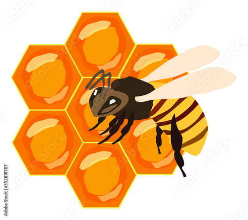 Honey combs with a bee on them