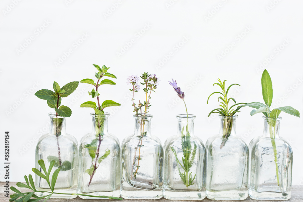 Naklejka Bottle of essential oil with herbs sage, rosemary, lavender flower, ,oregano ,thyme set up on white background.