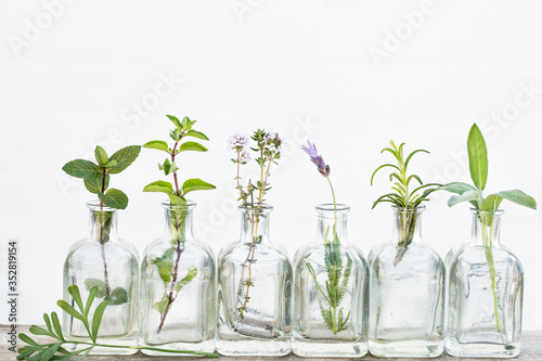 Bottle of essential oil with herbs sage, rosemary, lavender flower, ,oregano ,thyme set up on white background.