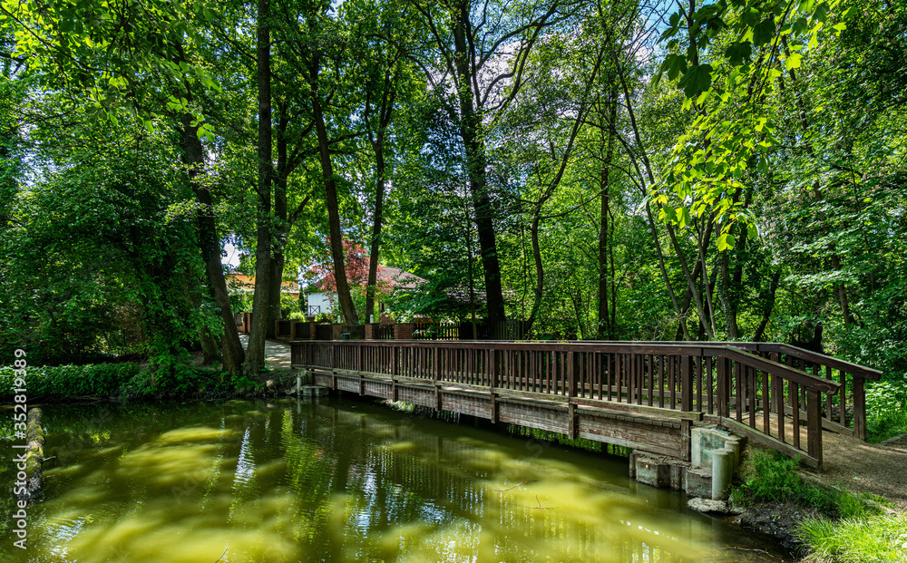 Am Boddensee in Birkenwerder, Brandenburg, Deutschland