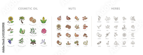 Vector icon and logo collection for spices, herbs and nuts. Natural cosmetics oil care dry skin. Editable outline stroke size. Line flat contour, thin and linear design. Simple icons. Sign, symbol,