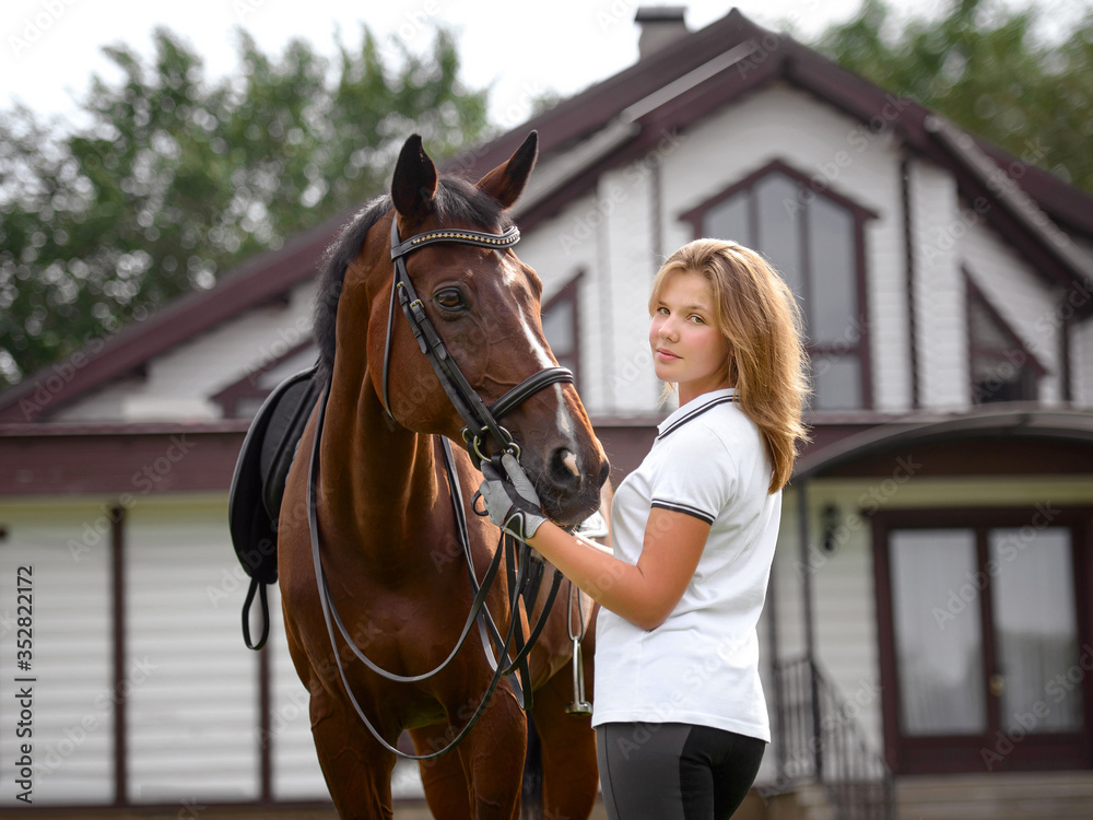Fototapeta premium portrait of a pretty young girl with a browne horse
