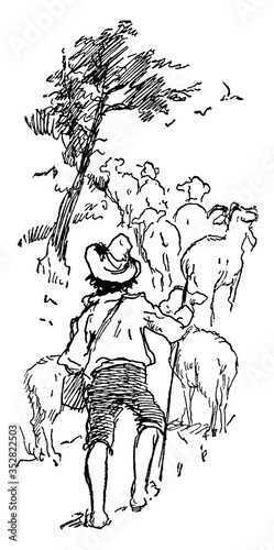 Boy Herding Goats, vintage illustration