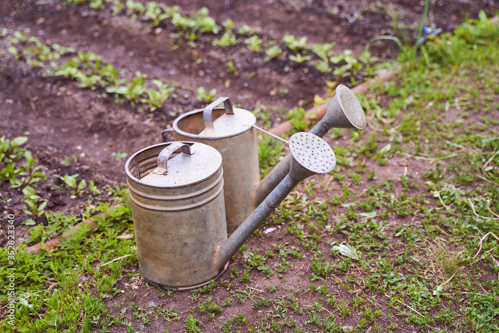 old iron water watering cans stand against the backdrop of greenery old iron water watering cans stand against the backdrop of greenery