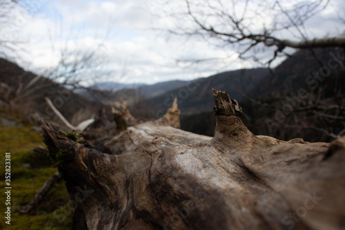 une vue artistique des Vosges © Wilfried