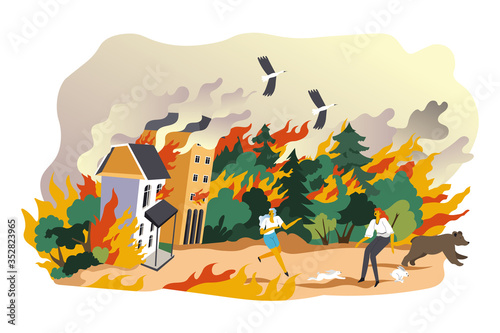 Burning forests natural calamity and emergency vector