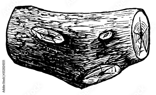 Log Basket, vintage illustration.
