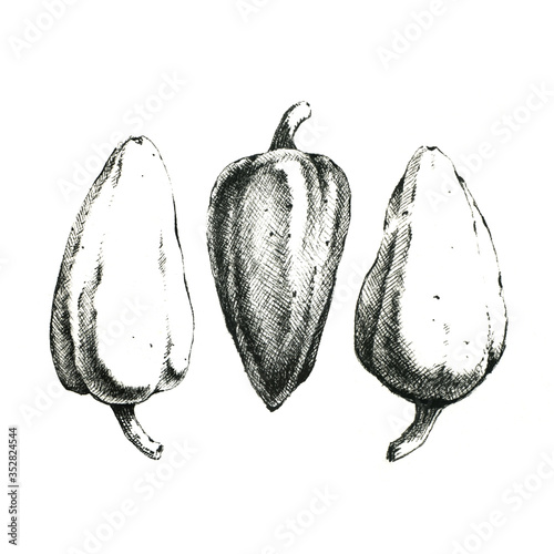 Hand-drawn black and white image of three peppers. JPEG only