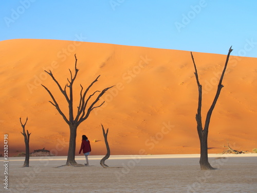 Woamn and dead camelthorn trees at sunrise in the scorched desert of Deadvlei and blue sky, Namibia