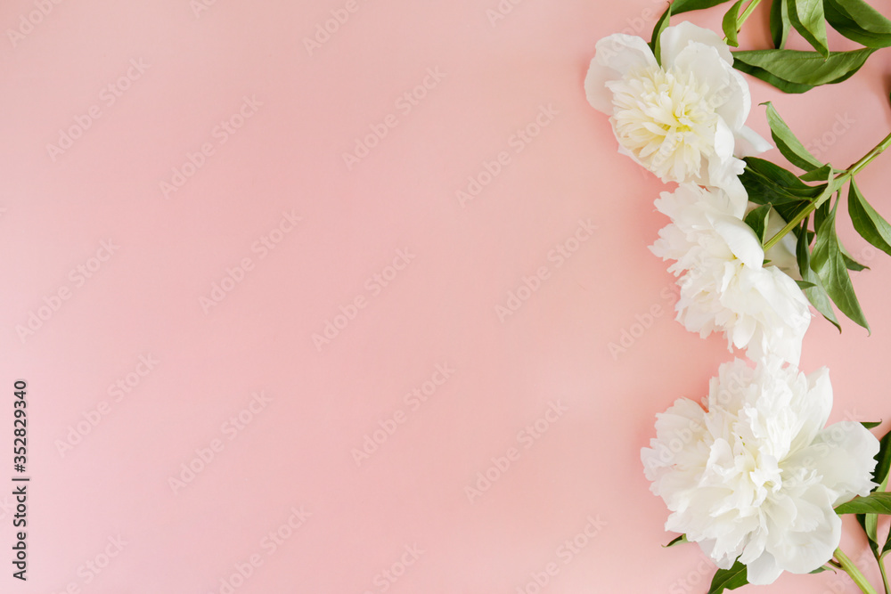 Studio shot of beautiful peony flowers over textured background with a lot of copy space for text. Feminine floral composition. Close up, top view, backdrop, flat lay.