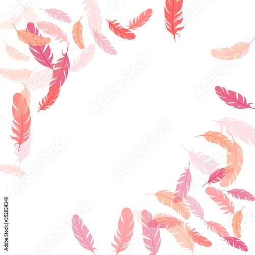 Falling feather elements soft vector design.