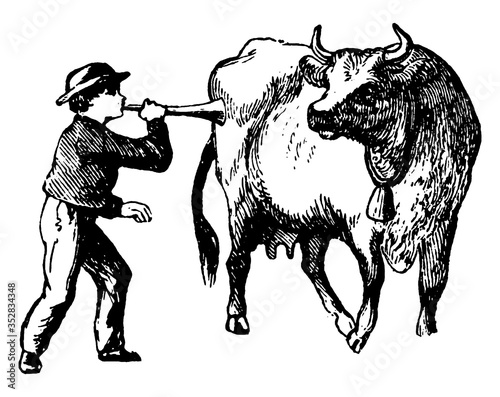 Boy Blowing Horn, vintage illustration.