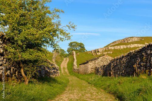 Path runing through the Yorkshire Dales enclosed by drystone walls