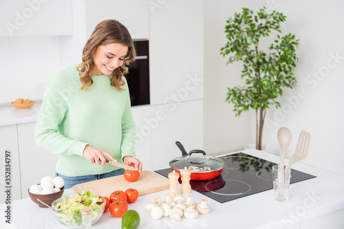 Portrait of her she nice attractive pretty lovely cheerful cheery wavy-haired girl cooking delicious hot domestic dish cutting tomato in modern light white kitchen indoors