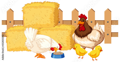 Scene with chickens eating on white background