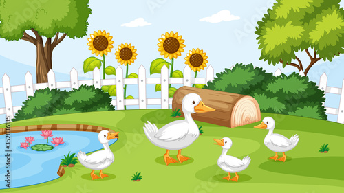 Duck at the pond